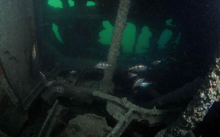 Laplace sous-marin